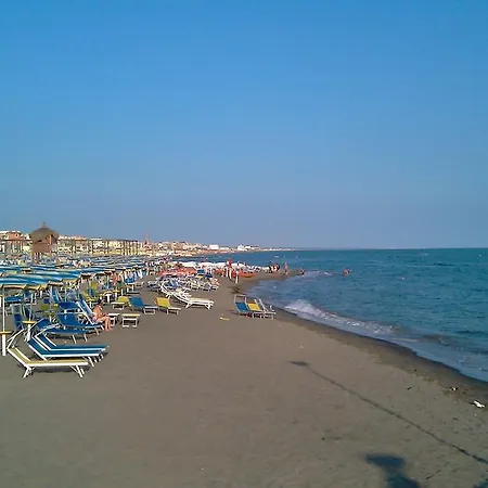 My Roma *